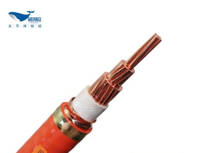 電線(xiàn)電纜廠(chǎng)家淺談柔性電纜btly和普通軟電纜rvv的區別