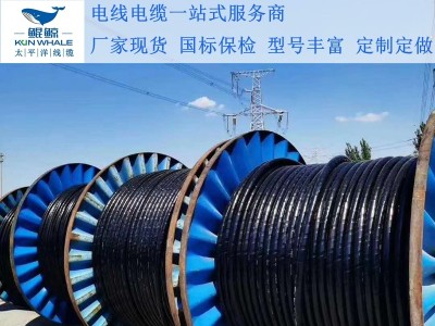 鄭州電纜廠淺談電纜著火怎么辦呢？撲救辦法在這里