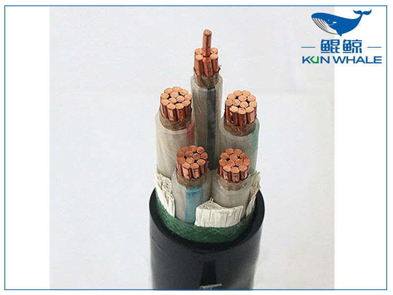 鄭州電纜廠帶你了解wdz—yje是?什么電纜？